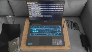 **** *.
