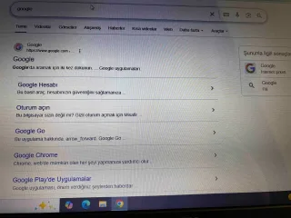 **** *.