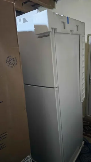 F** T.