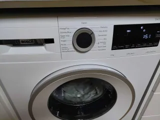 C** Y.
