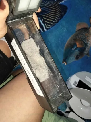 C** K.