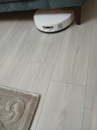 B** K.