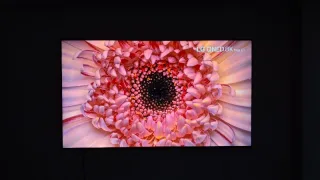 M******