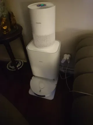 A***