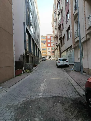 M** K.